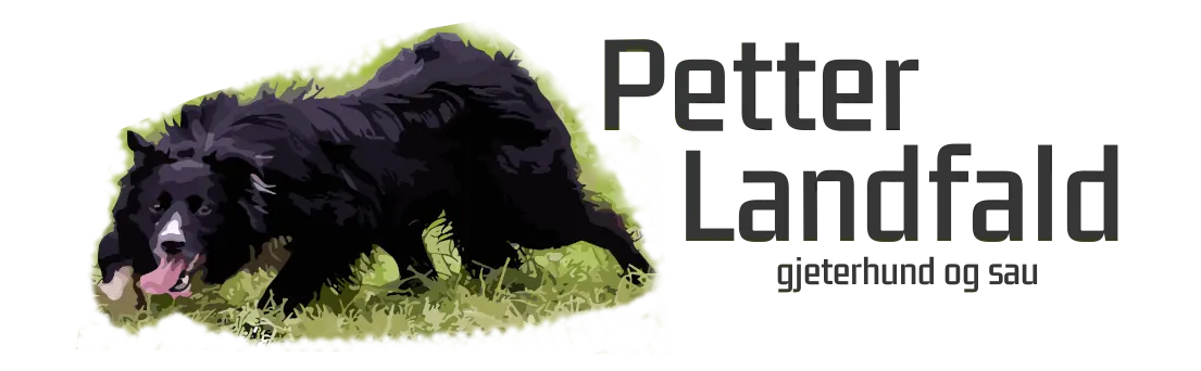 Petter Landfald